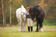 Woman with two horses