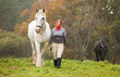 Woman with two horses