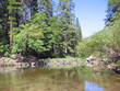 spechhio d'acqua montano