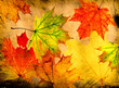 Grunge Autumn background Grunge Autumn background
