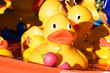 Foto: Catch a duck Catch a duck
