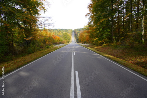 Foto: Straße durch den Wald im Herbst Straße durch den Wald im Herbst