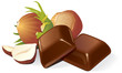 벡터 일러스트(편집용 파일):Chocolate pieces and hazelnuts composition. Vector Chocolate pieces and hazelnuts composition. Vector