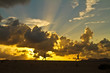 Runner in the sunset
