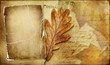 vintage autumn framed background