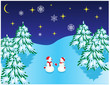 A romantic date in the Christmas forest