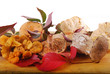 Assortiment de Champignons comestibles