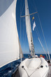 Sailing boat in the sea