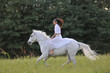 Giovane amazzone su un bianco cavallo