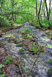 beautifull river