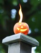 jack o lantern