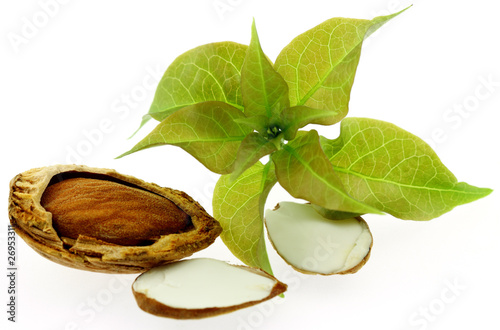 Photo: amandes amandes