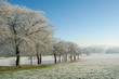 Paysage hivernal