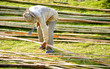 Worker for bridge building