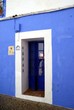 Blu Carmona
