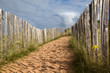 a sandy path with fence in dunes