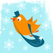 Vector: postman bird postman bird