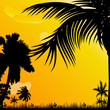 background with palm trees illustration