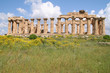Temple de Selinunte