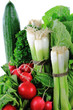 Green vegetables, fresh onion and radishes close up-Abstract. Green vegetables, fresh onion and radishes close up-Abstract.