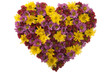 Flower Love Flower Love