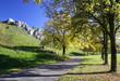 Weg im Eselsburger Tal