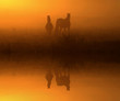 Photo: mystic moments mystic moments