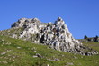 Felsen / Eselsburger Tal (Schwäbische Alb)