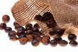 guarana,paullinia cupana guarana,paullinia cupana