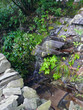 cascade