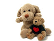Teddy bear and dog