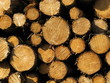 Photo: Holzstapel Holzstapel