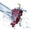 blue grape with water splash isolated on white