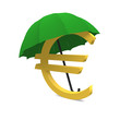Euro