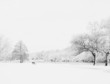 Park in winter