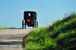 Amish Buggy