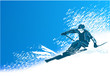Skier Skier