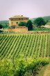 Foto: Typical Tuscan landscape Typical Tuscan landscape
