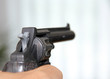 colt
