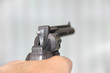 colt