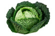 Photo en ligne au meilleur prix choux vert