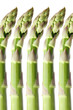 Asparagus Asparagus