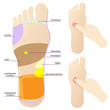 fußreflexzonenmassage