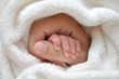 baby hands holding together