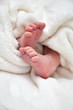 Foto: Babyfoot Babyfoot
