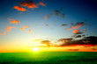 beautiful summer evening landscape in the fields