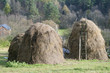 Dry grass fodder in haystacks Dry grass fodder in haystacks