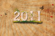 2011 Naturgrunge Background