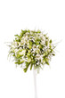 Bridal Bouquet