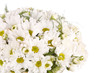 Bridal Bouquet